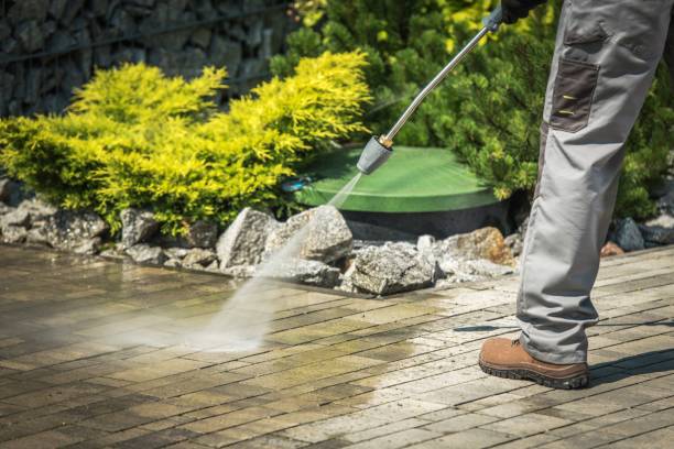 Best Fence Cleaning  in Fayette, IA