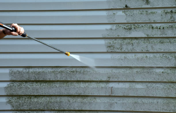 Best Animal Enclosure Cleaning  in Fayette, IA